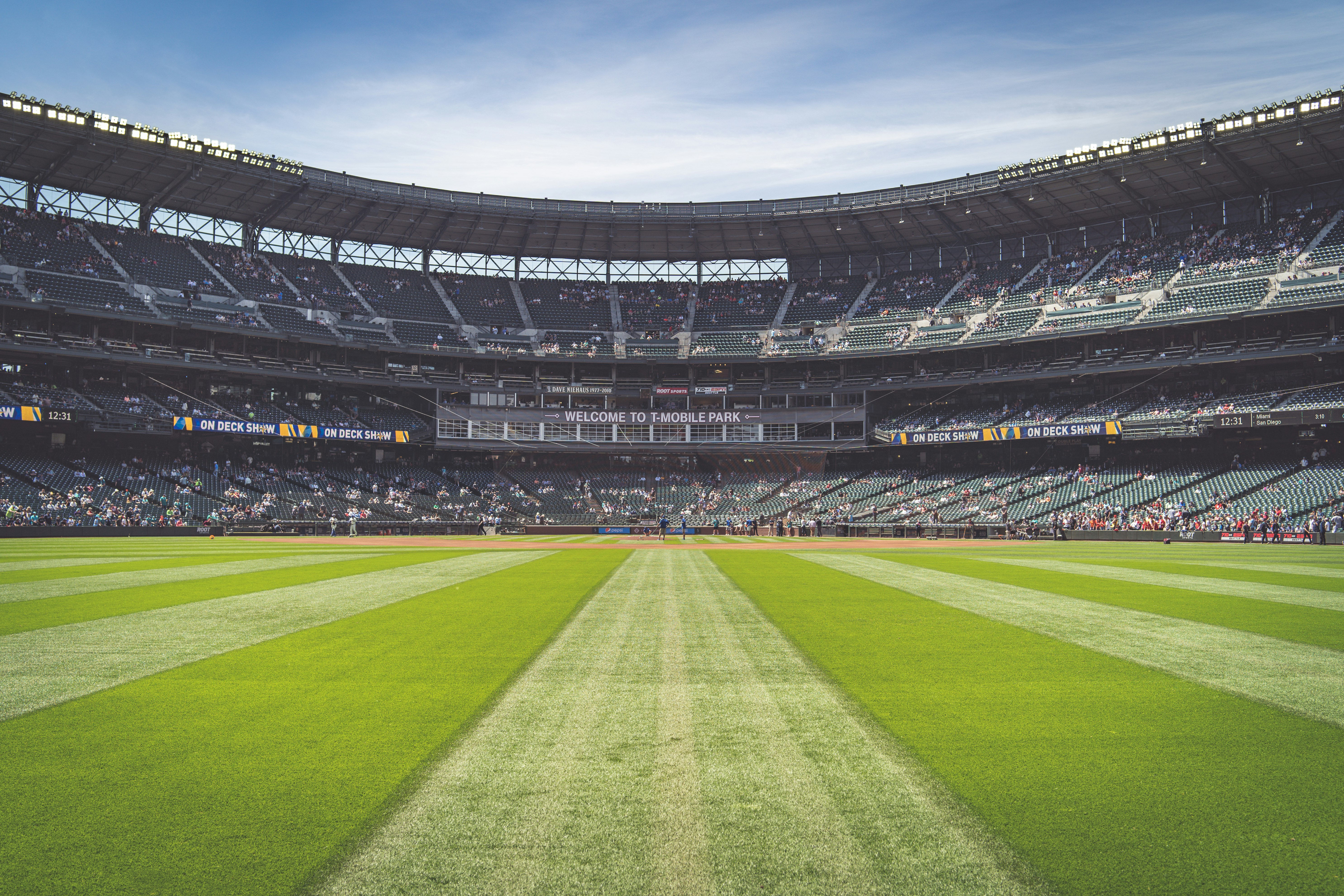 grass stadium field